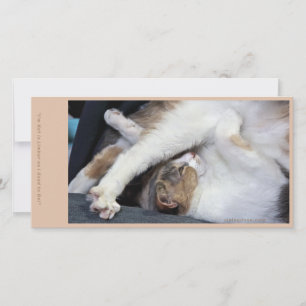 Tarjeta De Agradecimiento Gato Yoga/Cara Dulce
