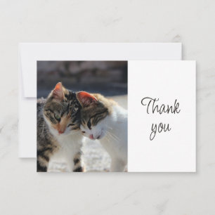 Tarjeta De Agradecimiento Gatos Gatitos Divertidos Lindos Gracias