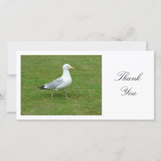 Tarjeta De Agradecimiento Gaviotas en el parque - Gracias