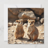 Gemelos Quokka Australianos,