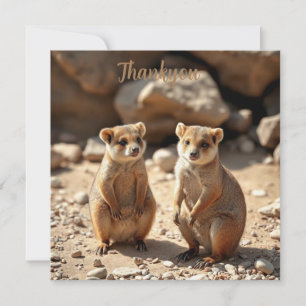 Tarjeta De Agradecimiento Gemelos Quokka Australianos,