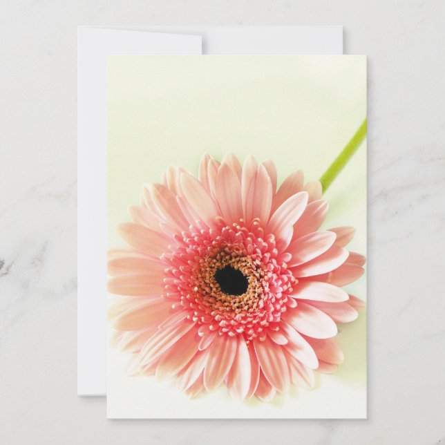 Tarjeta De Agradecimiento Gerbera Daisy (Anverso)