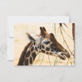 Tarjeta De Agradecimiento Girafas lejanas y cercanas