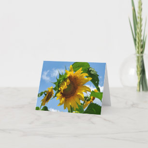 Tarjeta De Agradecimiento Girasol