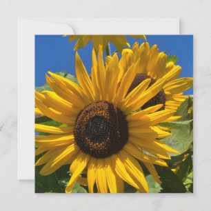 Tarjeta De Agradecimiento Girasol