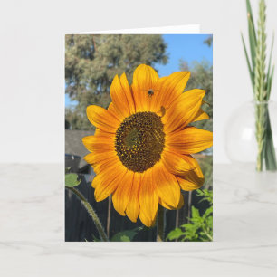 Tarjeta De Agradecimiento Girasol