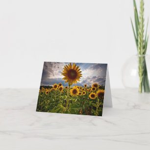 Tarjeta De Agradecimiento Girasol Amarillo Flor Hola, Amor, Te Extraño