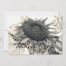 Girasoles Gigantes Arte Floral Vintage Sepia