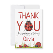 Girly Ladybug Fiesta del primer cumpleaños