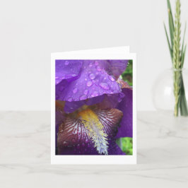 Tarjeta De Agradecimiento Gladiolus bajo la lluvia