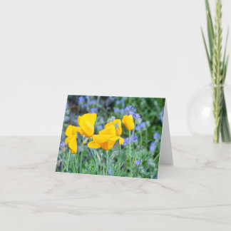 Tarjeta De Agradecimiento Golden Poppies te muestra que te importa