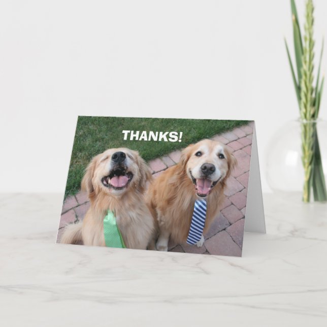 Tarjeta De Agradecimiento Golden Retriever Gracias (Anverso)