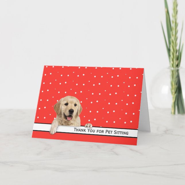 Tarjeta De Agradecimiento Golden Retriever Gracias por sentarse en Mascota (Anverso)