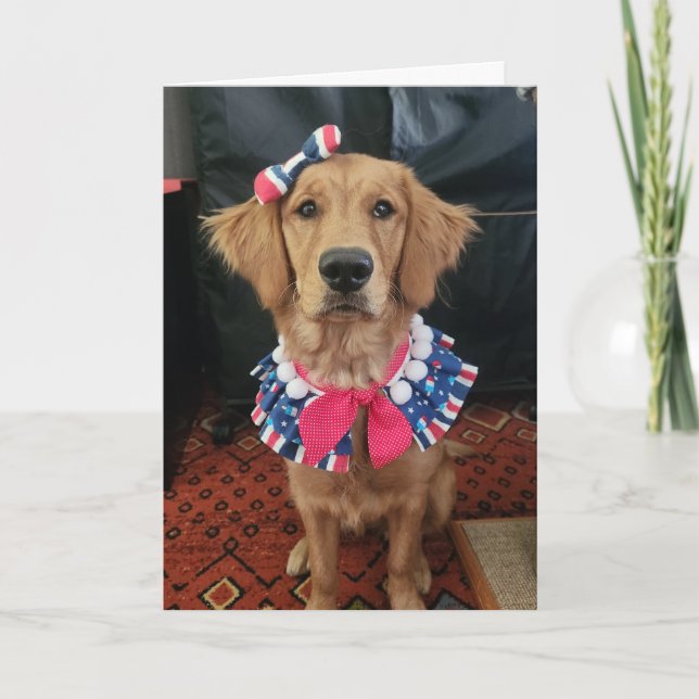 Tarjeta De Agradecimiento Golden Retriever patriótico, saludos del 4 de juli (Anverso)