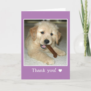 Tarjeta De Agradecimiento Golden Retriever Puppy Dog With Bone Gracias