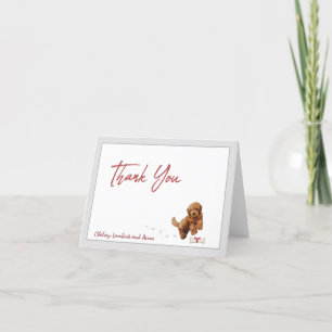 Tarjeta De Agradecimiento Goldendoodle Puppy Dog Personaliza La Cinta Ósea