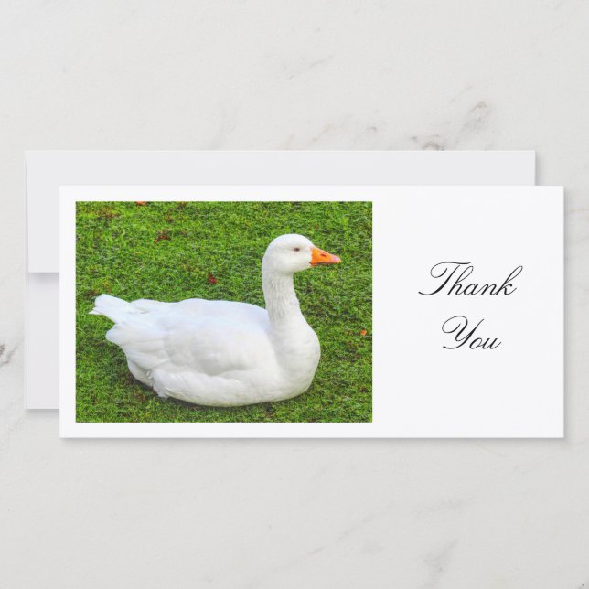 Tarjeta De Agradecimiento Goose Blanco - Gracias (Anverso)
