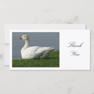 Tarjeta De Agradecimiento Goose - Gracias