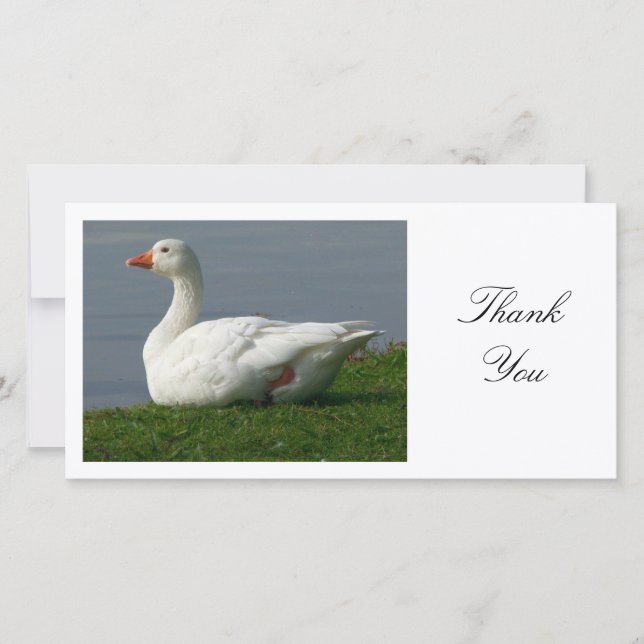 Tarjeta De Agradecimiento Goose - Gracias (Anverso)