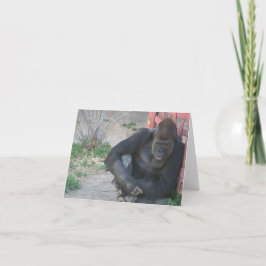 Tarjeta De Agradecimiento Gorila al sol