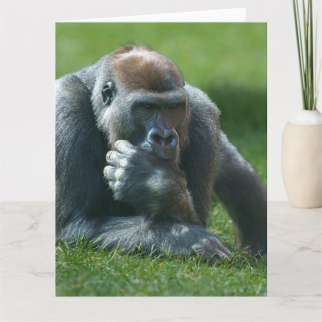 Tarjeta De Agradecimiento Gorila de succión del dedo (Anverso)