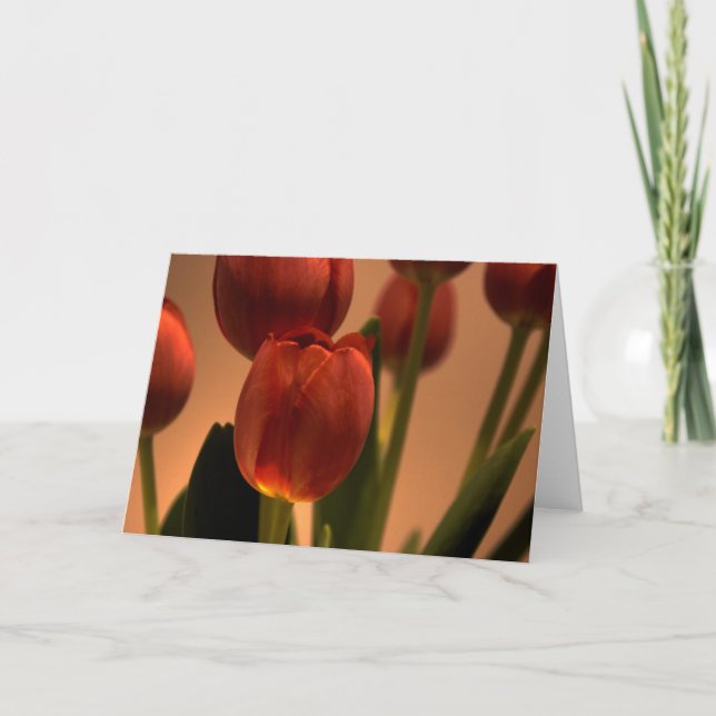 Tarjeta De Agradecimiento Gota de sol (Anverso)