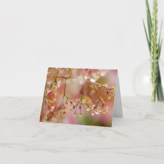 Tarjeta De Agradecimiento Gotas de lluvia en una flor de árbol de humo púrpu