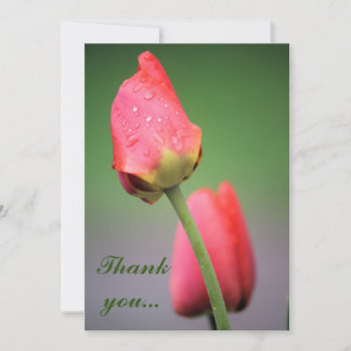 Tarjeta De Agradecimiento Gotas de lluvia Tulipanes rosados Gracias a las ca