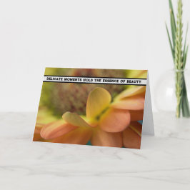 Tarjeta De Agradecimiento Gracia Petal - Enfoque suave de la naturaleza