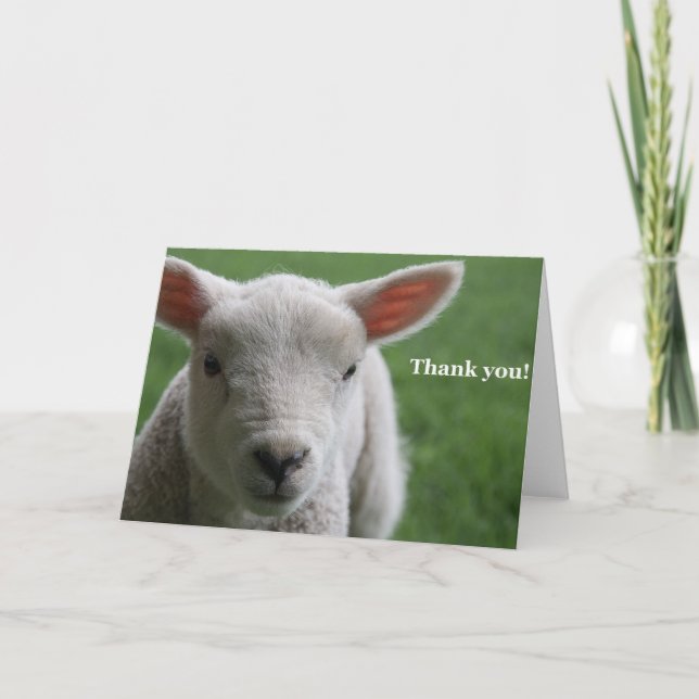 Tarjeta De Agradecimiento Gracias! (Anverso)