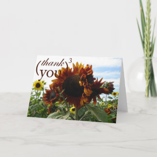 Tarjeta De Agradecimiento Gracias