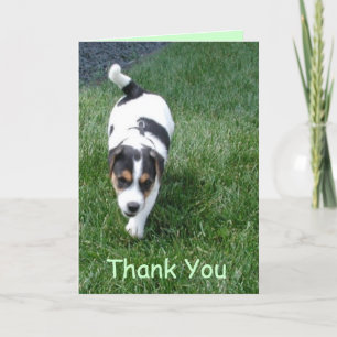 Tarjeta De Agradecimiento Gracias