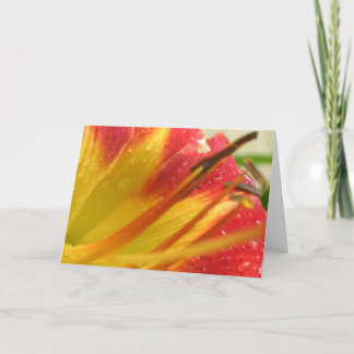 Tarjeta De Agradecimiento Gracias