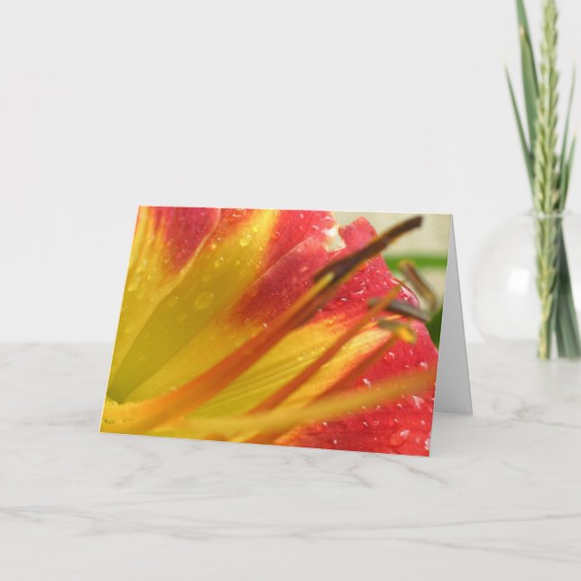 Tarjeta De Agradecimiento Gracias (Anverso)