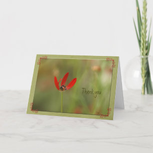 Tarjeta De Agradecimiento Gracias