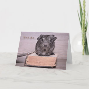 Tarjeta De Agradecimiento Gracias a Guinea Pig Sat por un libro