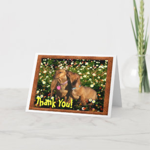Tarjeta De Agradecimiento ¡Gracias! A partir de un Dachshund a otro