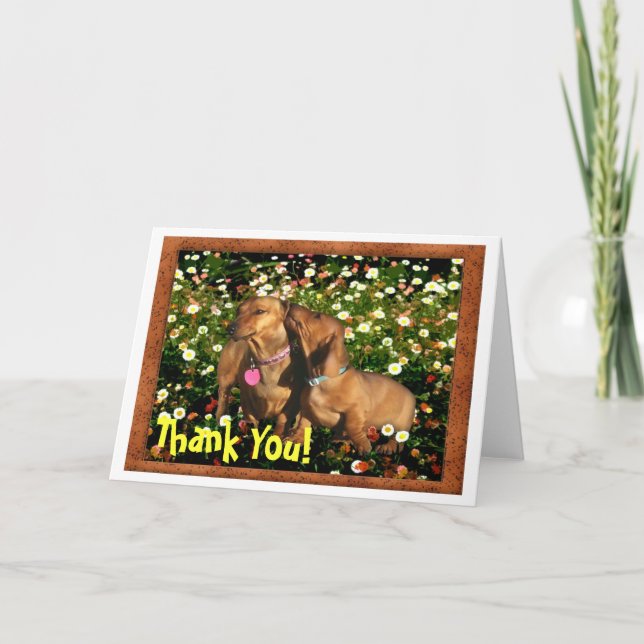 Tarjeta De Agradecimiento ¡Gracias! A partir de un Dachshund a otro (Anverso)