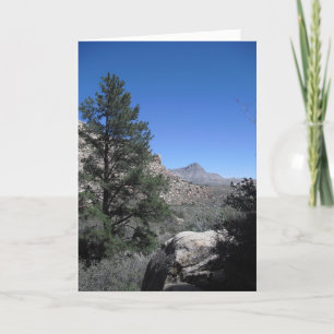 Tarjeta De Agradecimiento Gracias a Sailor, Vegas 09 274