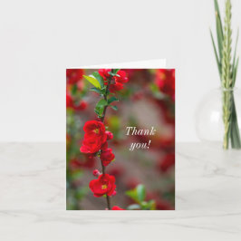 Tarjeta De Agradecimiento Gracias a Scarlet Line