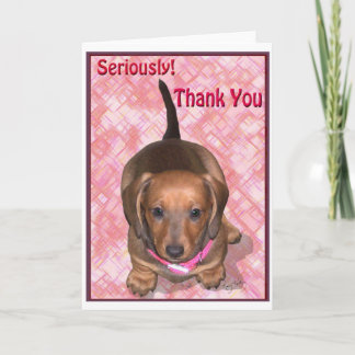 Tarjeta De Agradecimiento Gracias a un pequeño Dachshund Puppy