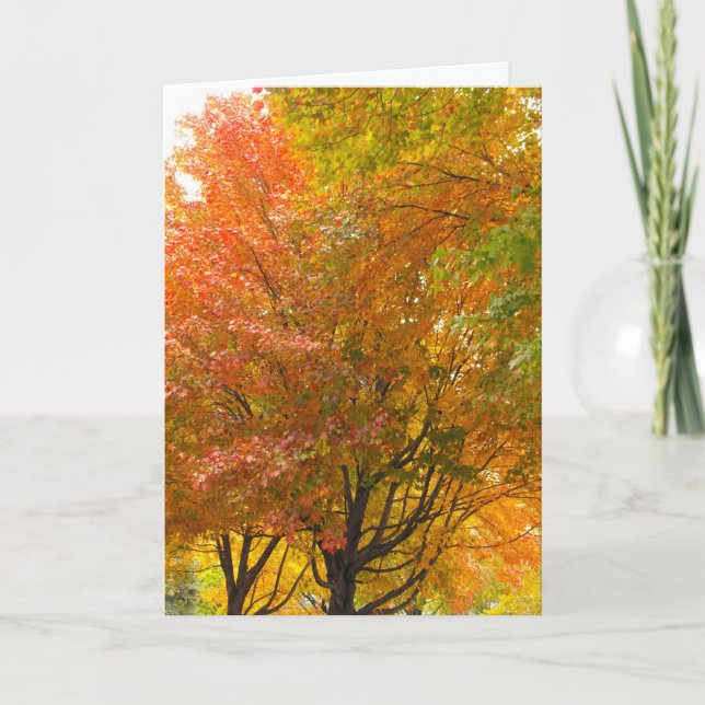 Tarjeta De Agradecimiento Gracias a un veterano, DSCF8707 (Anverso)