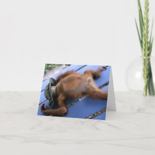 Tarjeta De Agradecimiento Gracias animal por divertirse