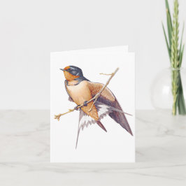 Tarjeta De Agradecimiento Gracias - Barn Swallow