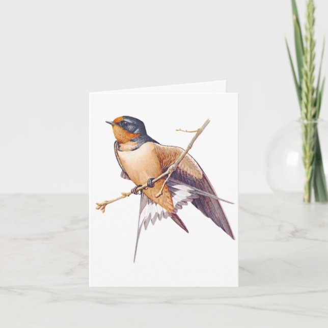 Tarjeta De Agradecimiento Gracias - Barn Swallow (Anverso)