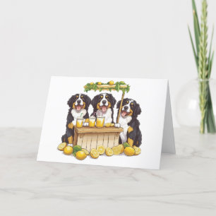 Tarjeta De Agradecimiento Gracias Bernese Mountain Dogs Lemonade Stand