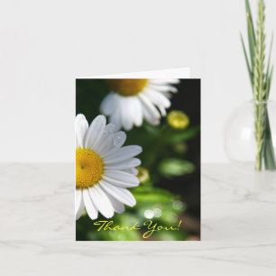 Tarjeta De Agradecimiento Gracias Blank, Daisy