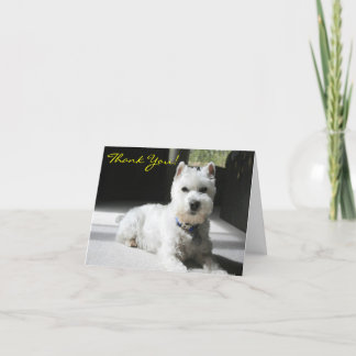 Tarjeta De Agradecimiento Gracias, Blank, Mini Schnauzer
