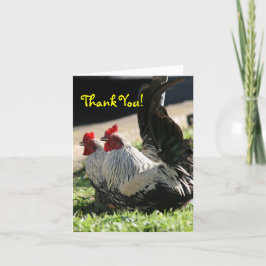 Tarjeta De Agradecimiento Gracias, Blank, Rooster