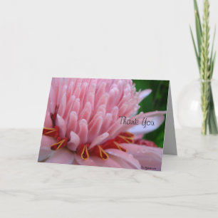 Tarjeta De Agradecimiento Gracias Bloom Me Away Pink Ginger